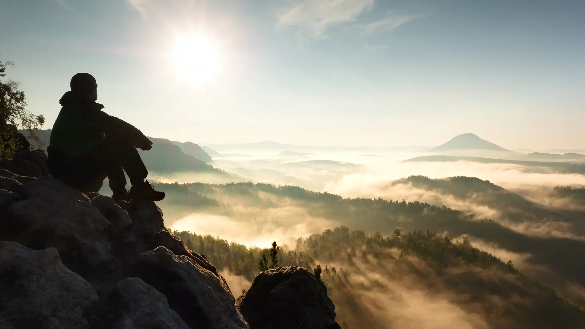 Natural Defense IV therapy wellness service